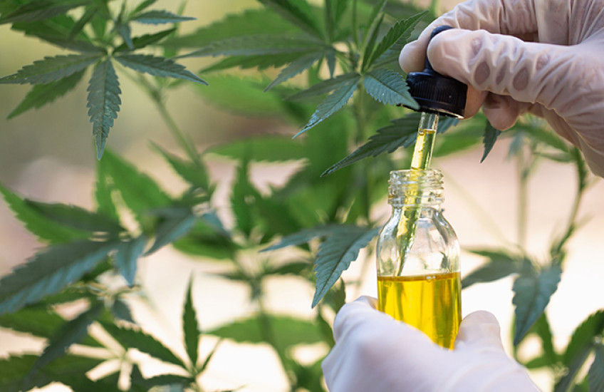 cannabinoid oil