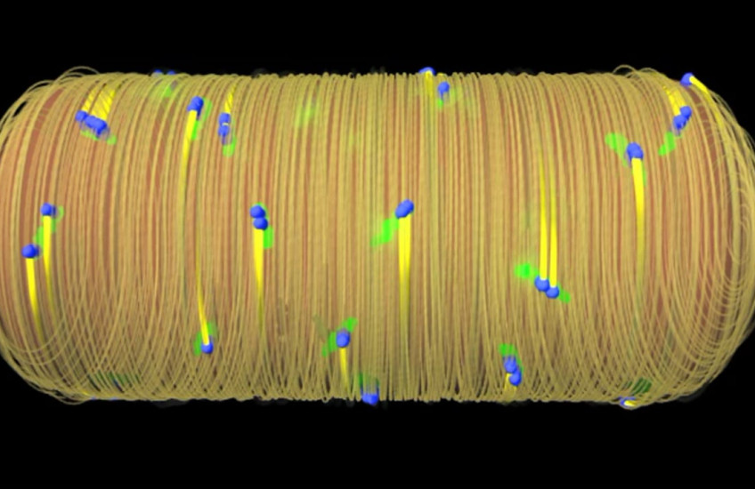 A Chink in Bacteria's Armor
