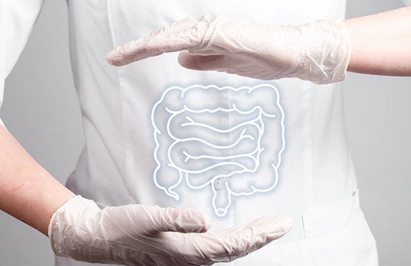 Closeup of a colon against a physicians' white coat and white gloves