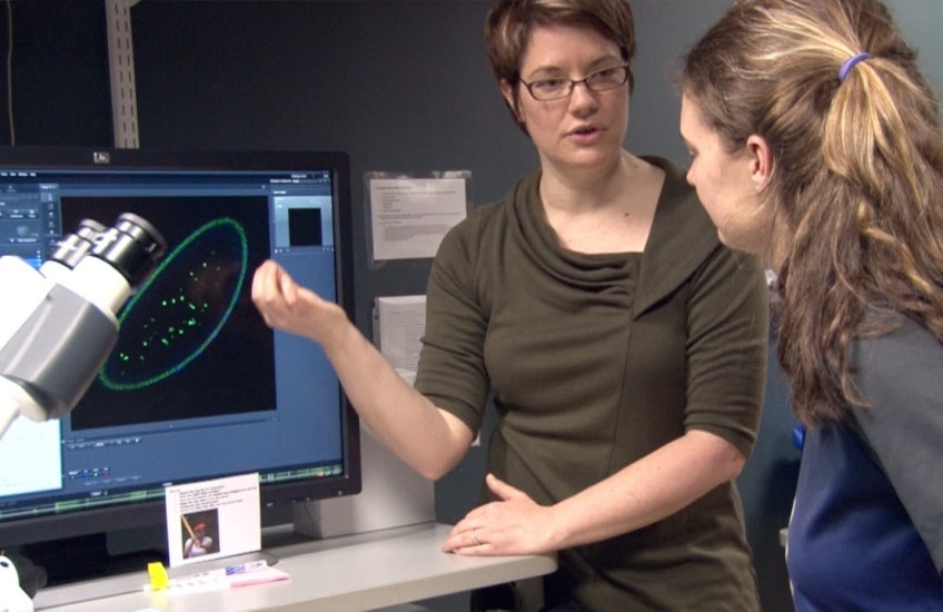 A professor shows a student bacteria on a screen