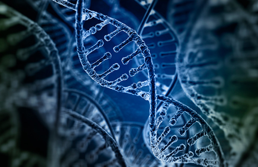 digital illustration of DNA helixes in green and blue