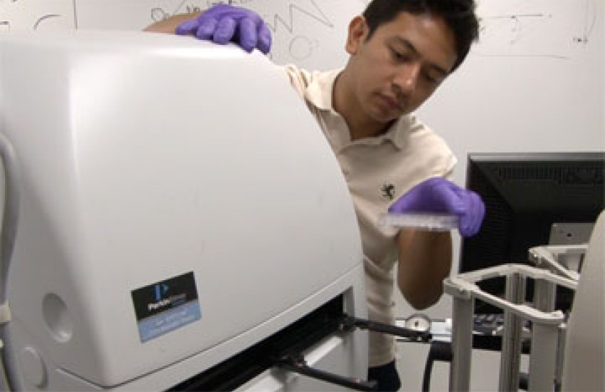 Meet a Systems Biologist