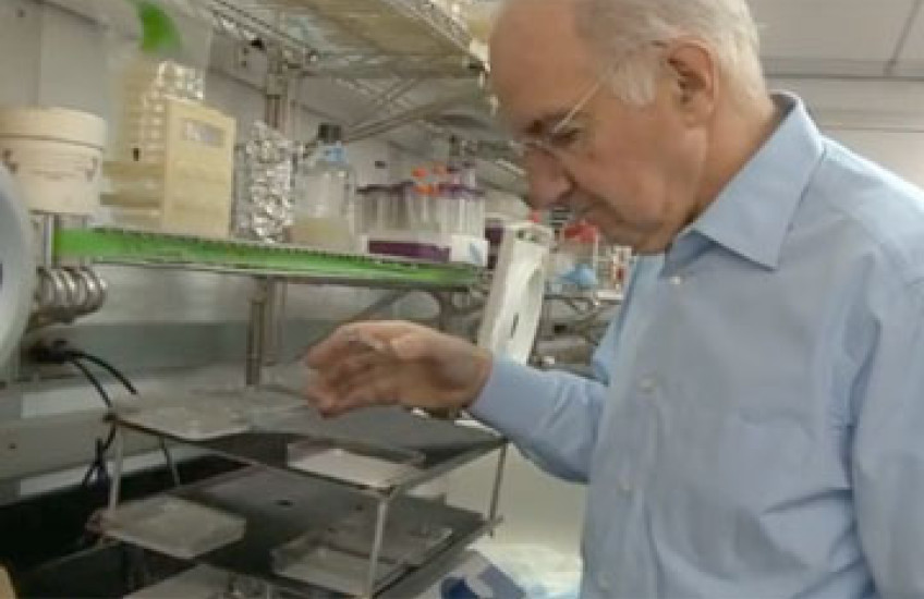 Velcade: First in a New Class of Cancer Drug
