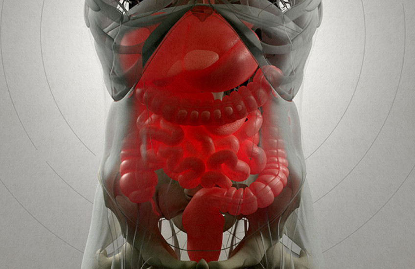 digital xray image of the gut