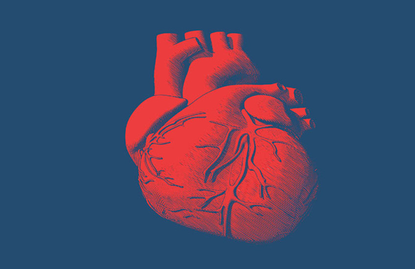 heart