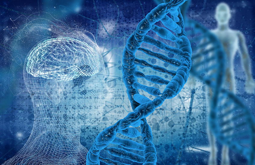 Collage of photo headshots of Gu, Her, Kadoch, and Kajimura