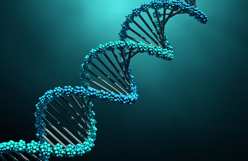 DNA double helix