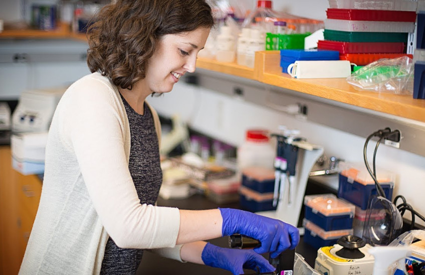 Hybrids, Hybrids Everywhere