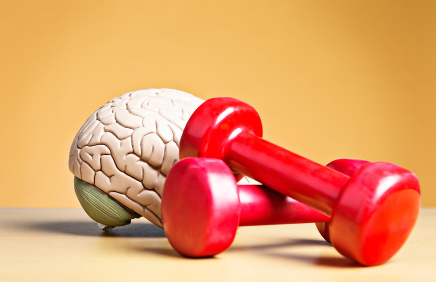 brainexercise