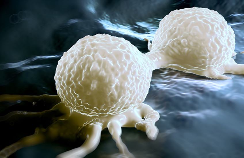 artist's rendition of two cancer cells
