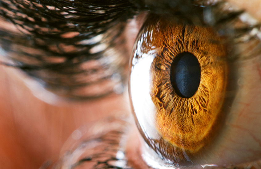 close up of brown eye