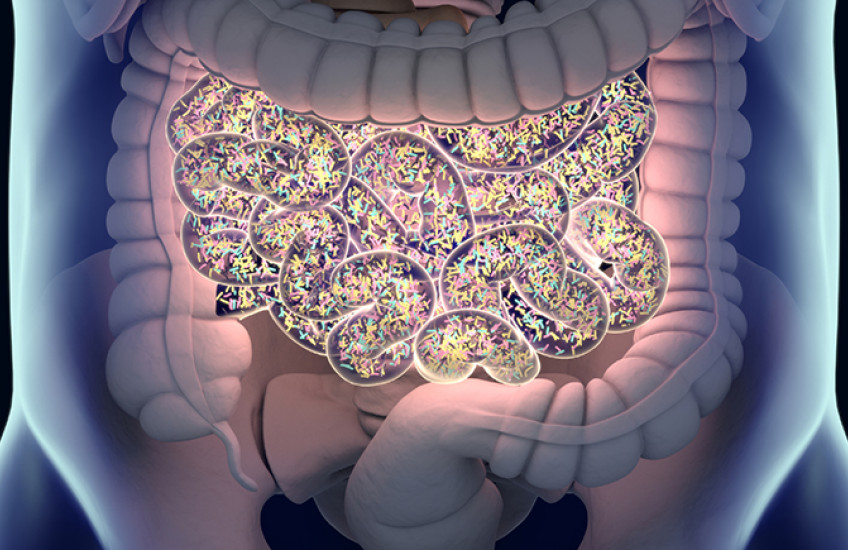 Image of microbiomes