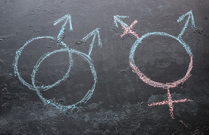 chalkboard with symbols of transgender and homosexual identities