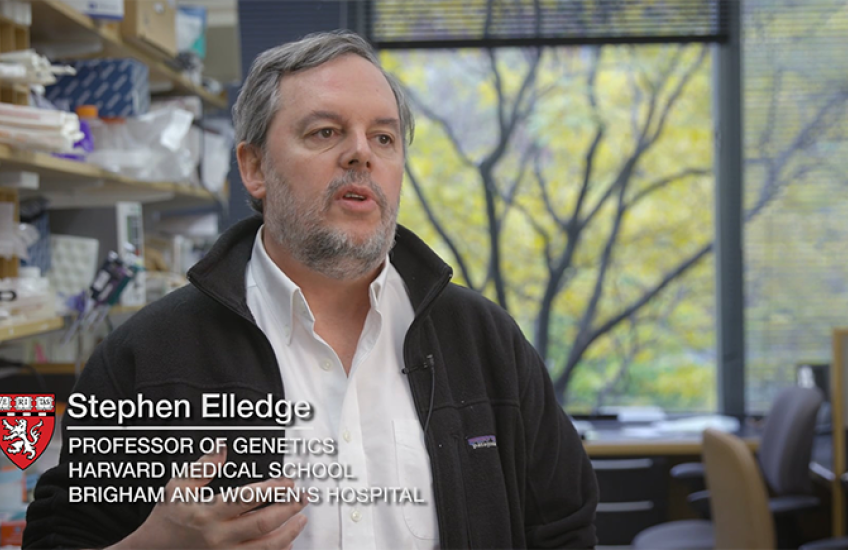 screen grab of Stephen Elledge