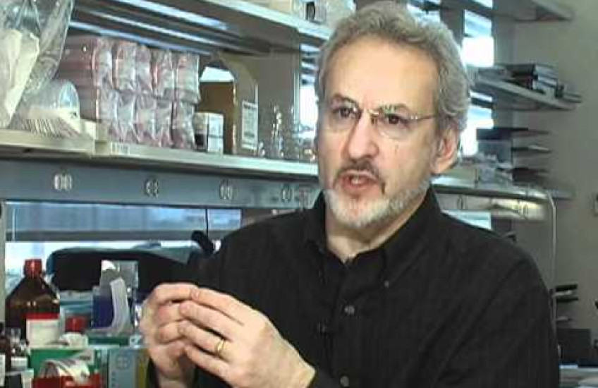 A researcher explains the human lung on a microchip