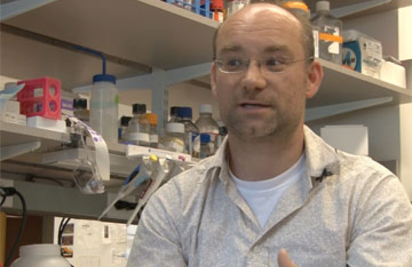 Ovarian Cancer Cells Bully Their Way Through Tissue