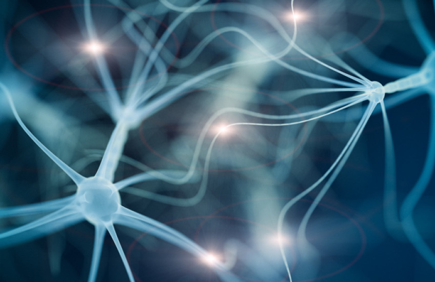 digital illustration of neurons