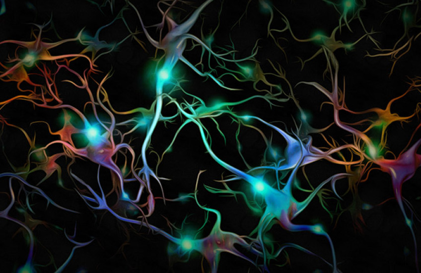 colorful digital illustration of brain cells firing on black background