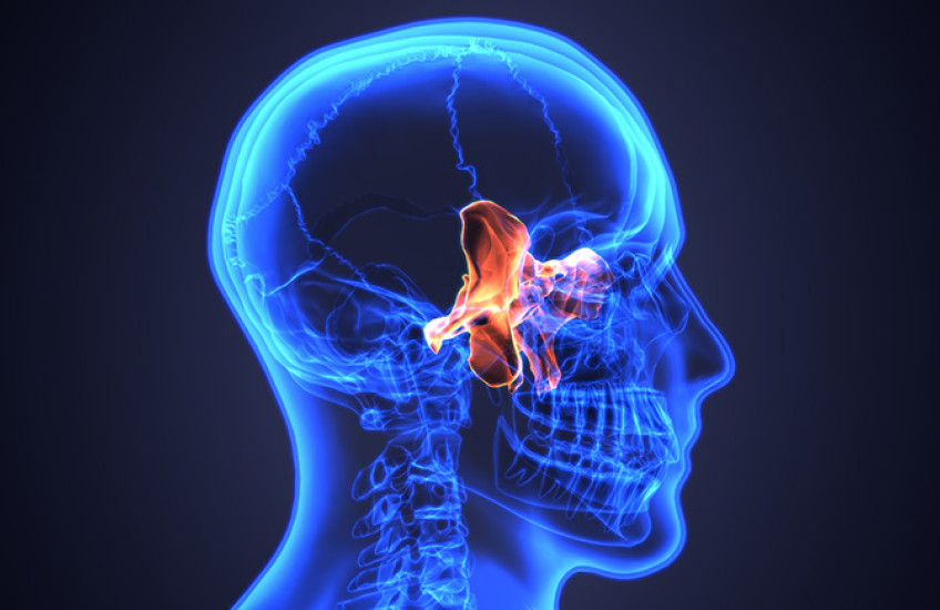 digital X-ray vision of skull with sinuses highlighted