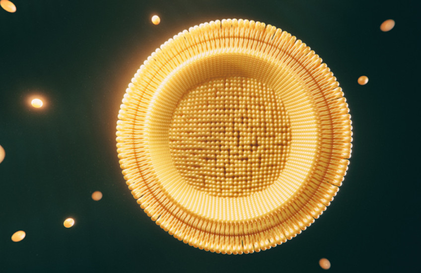 digital illustration of adipose tissue cell