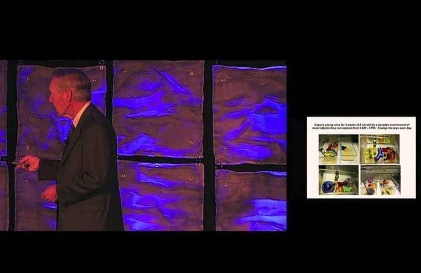 Dennis J. Selkoe, MD, 