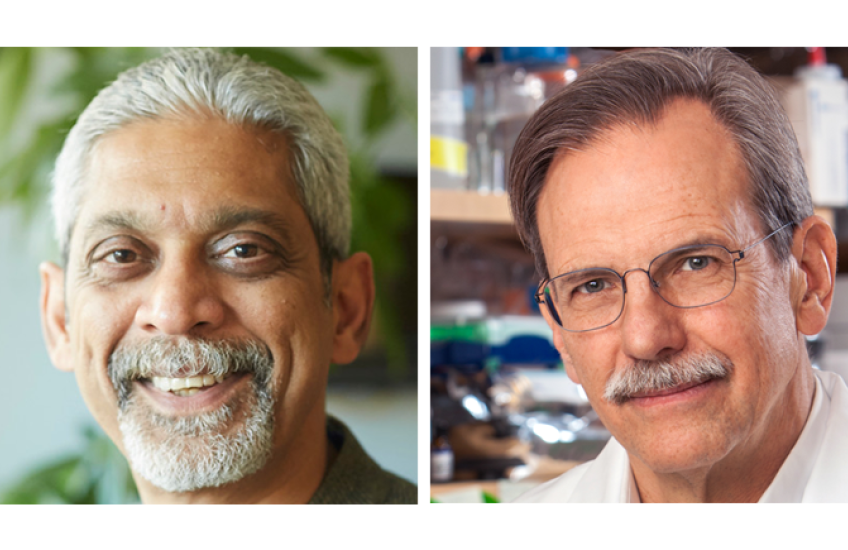 Image of Vikram Patel (left) and Tim Springer (right)