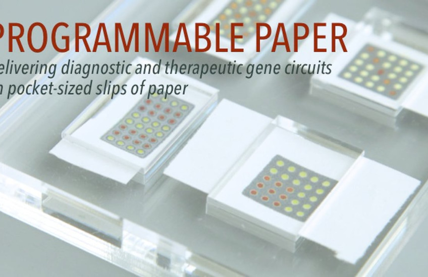 Programmable paper