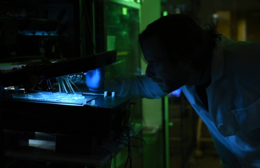 ‘Lifespan Machine’ Probes Cause of Aging