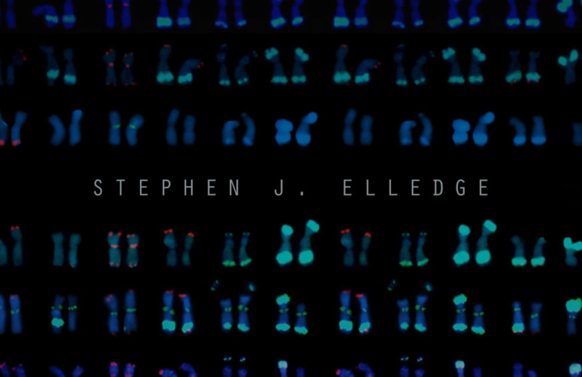 Stephen J. Elledge