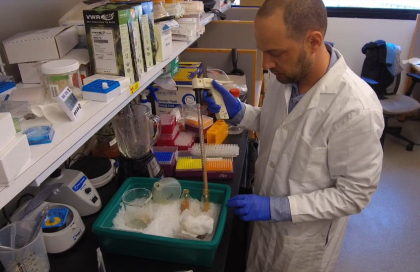 Scientist in the lab