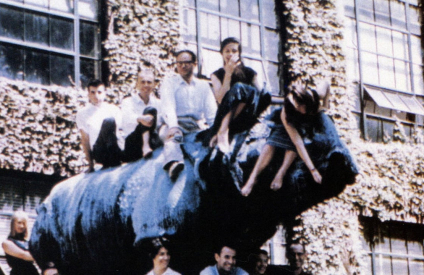 Riding Rhinos