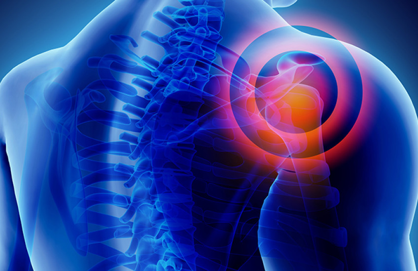 pain in shoulder