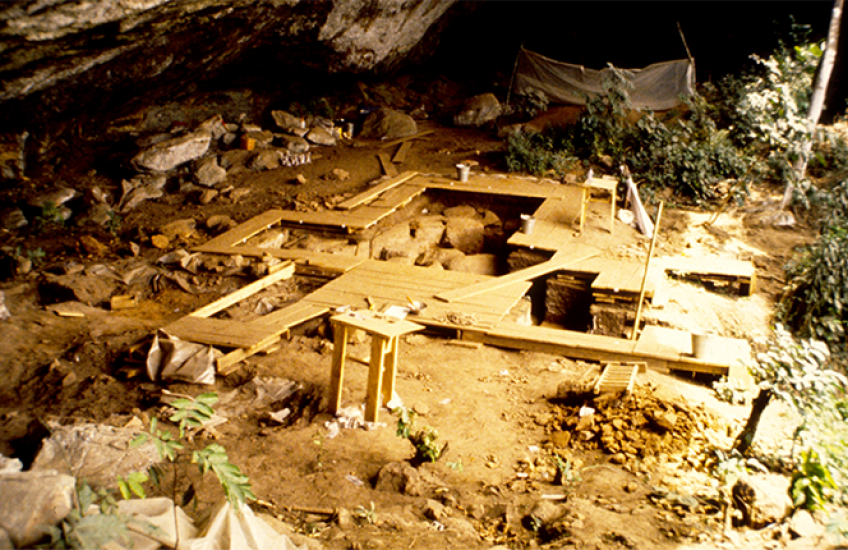 Archaeological excavation with boards set up over soil beneath a rock overhang