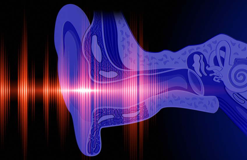 illustration of sound waves entering ear