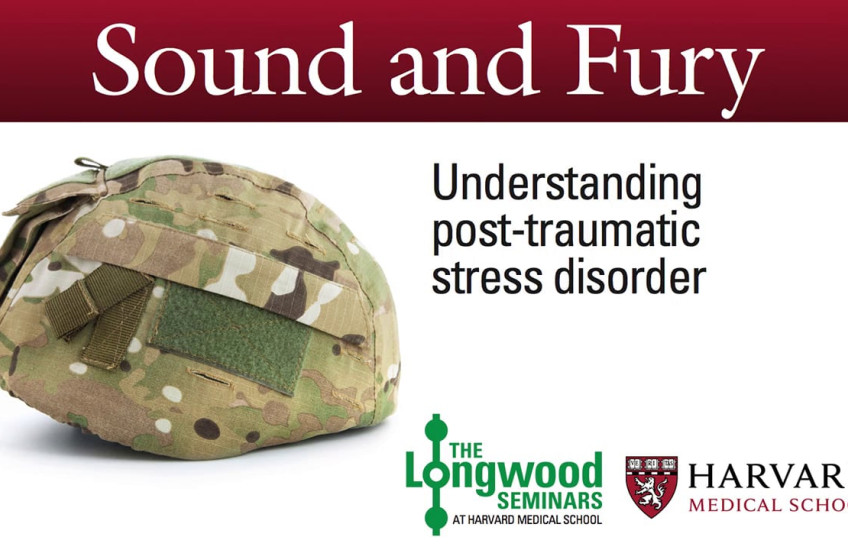 An army helmet
