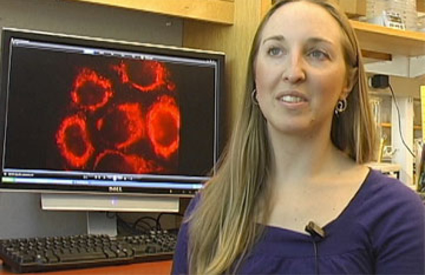 For Cancer Cells, Genetics Alone is Poor Predictor for Drug Response