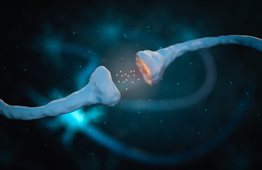 illustration of synapse