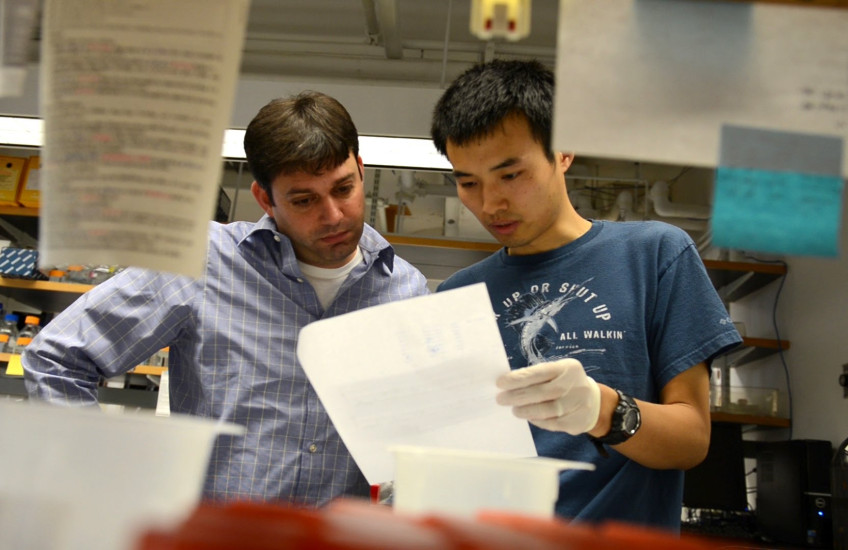 Two scientists look at a piece of paper
