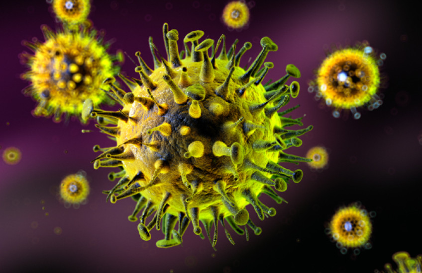 virus