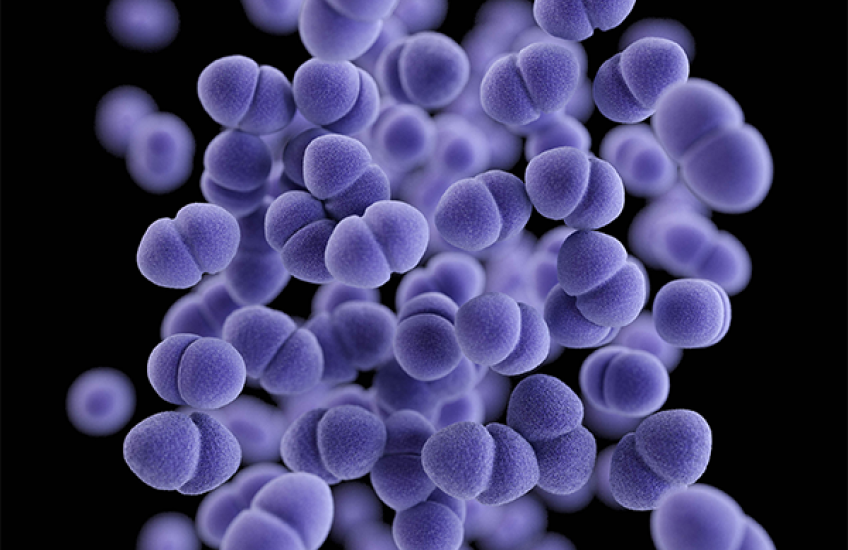 Where No Botulinum Toxin Has Gone Before