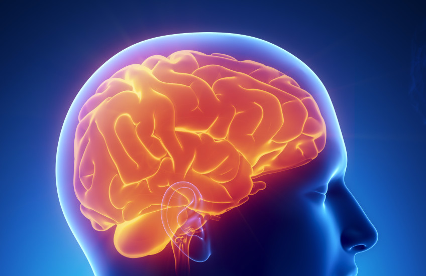 Funds for Psychobiology Research