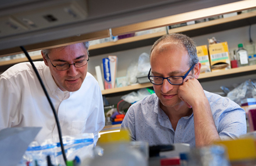 Timing Is Everything