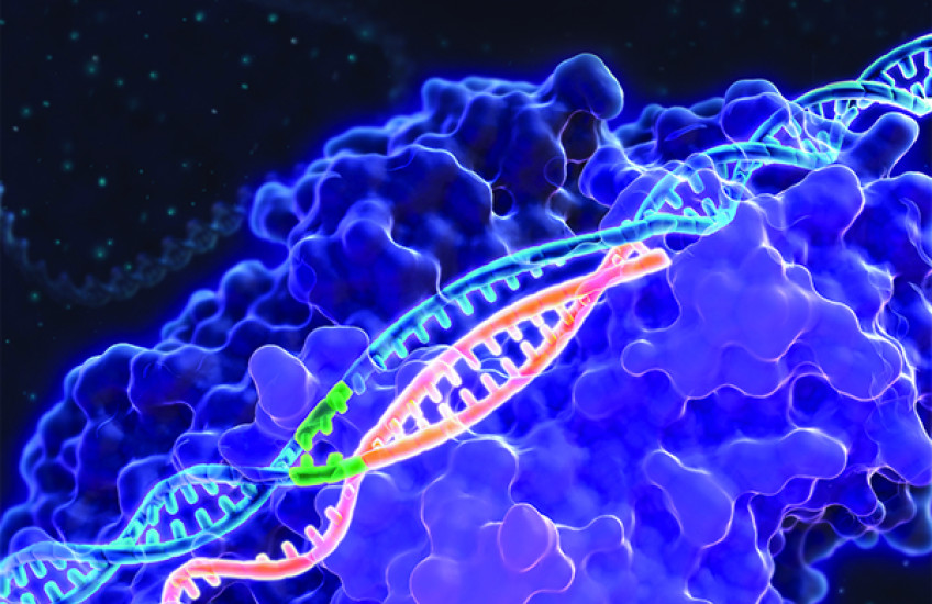 Honoring the CRISPR Revolution