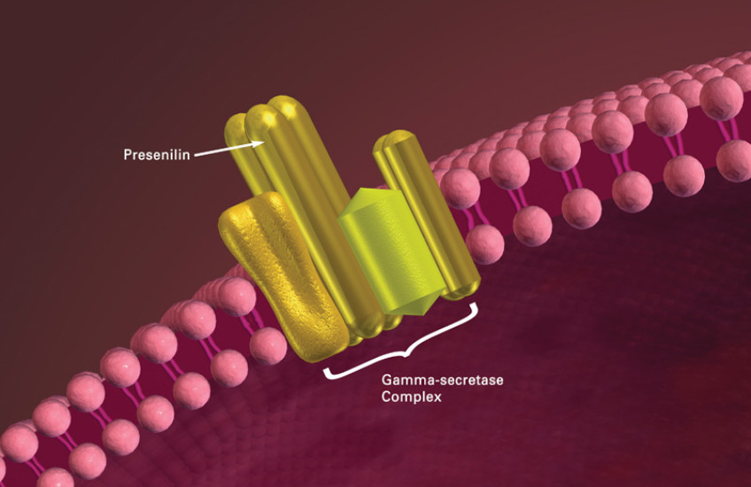 Upending Alzheimer’s Theory