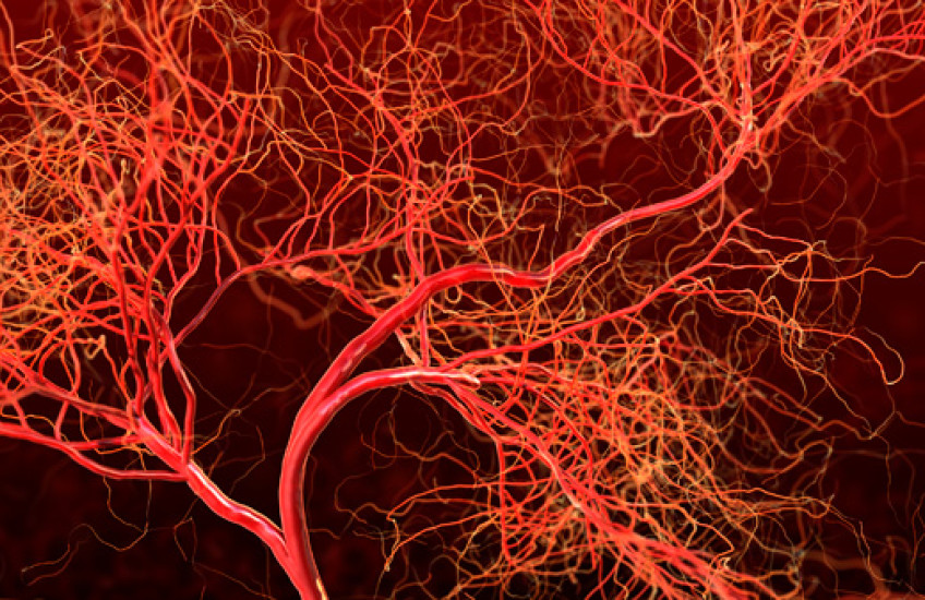 Why Antiangiogenesis Fails