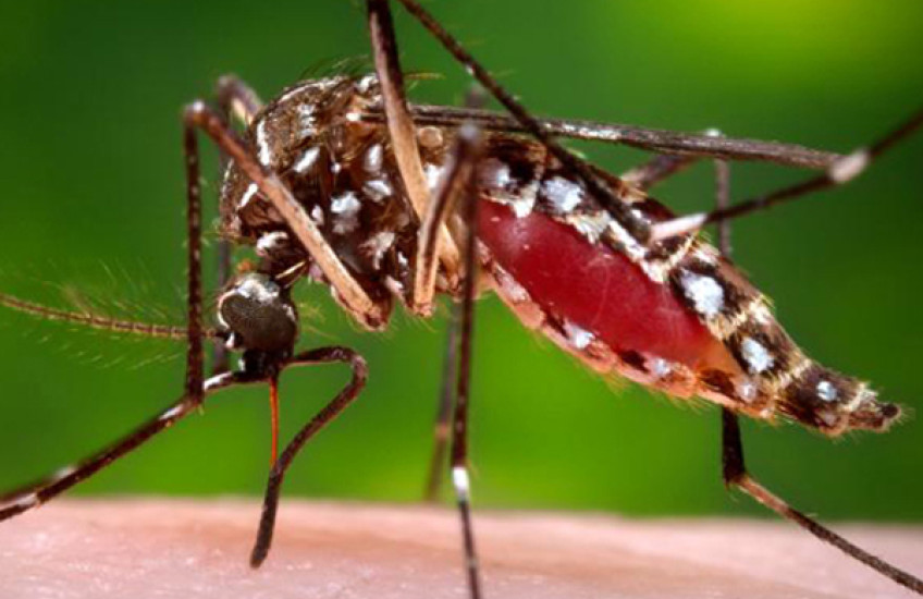 From A to Zika