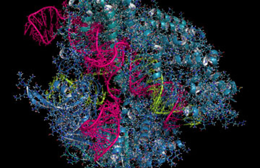 Troubleshooting CRISPR