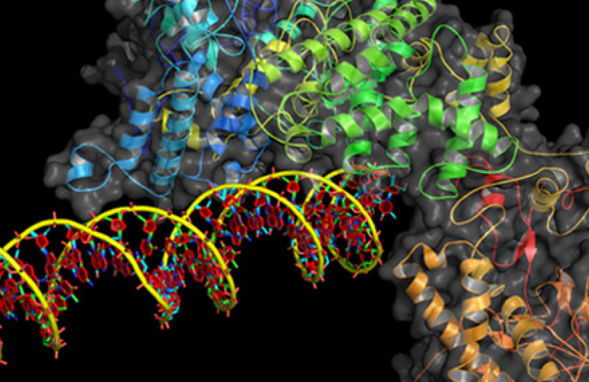 High-fidelity CRISPR