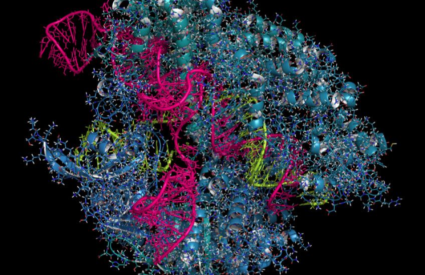 Gene-Editing Guide 