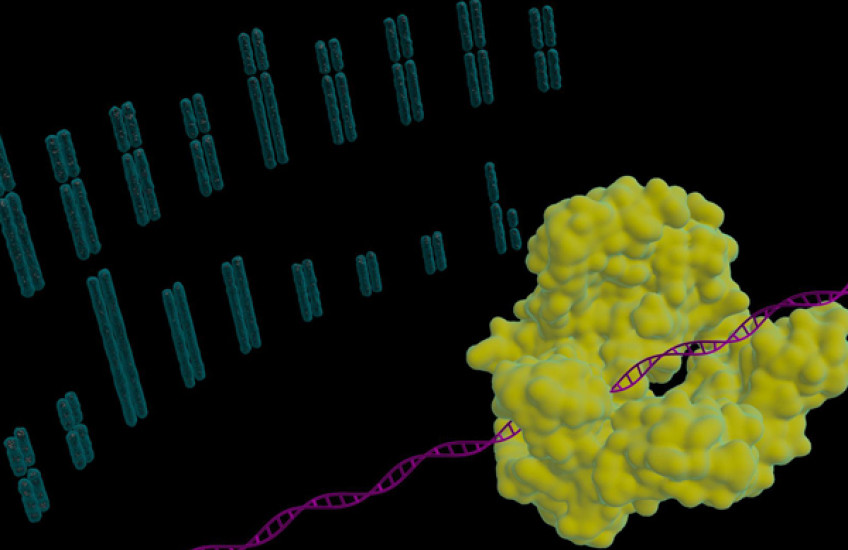 A Challenge Fit for CRISPR